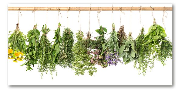 Akril üveg kép Herbs egy húr
