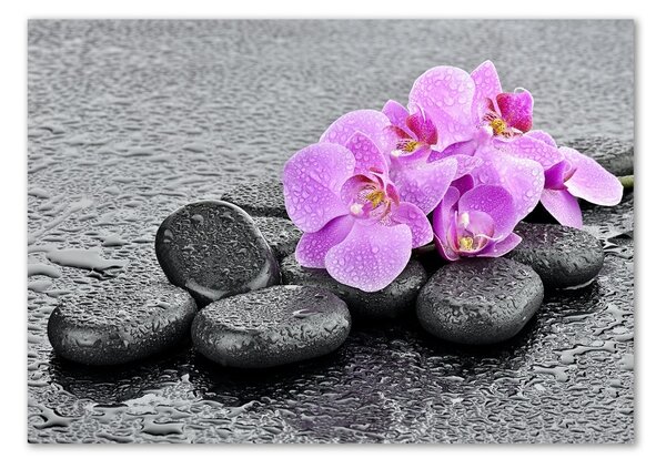 Akrilkép Orchideák kövek