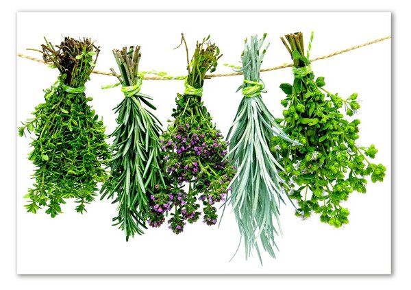 Akril üveg kép Herbs egy húr