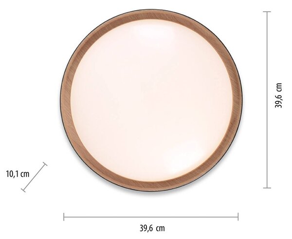 JUST LIGHT. GmbH LED mennyezeti lámpa Emilia 3 fokozatú fényerőszabályzó fekete, dimmelhető, Fekete, Nappali / Étkező, fém, Modern