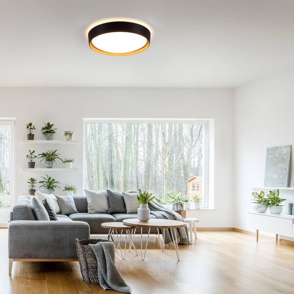 JUST LIGHT. GmbH LED mennyezeti lámpa Emilia 3 fokozatú fényerőszabályzó fekete, dimmelhető, Fekete, Nappali / Étkező, fém, Modern