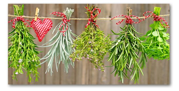 Akril üveg kép Herbs egy húr