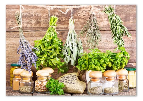 Akril üveg kép Herbs egy húr