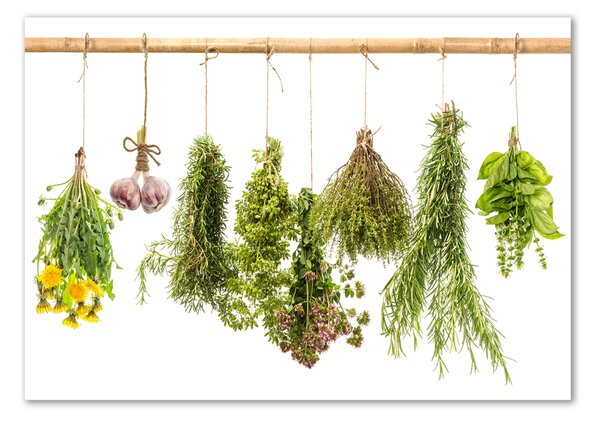 Fali üvegkép Herbs egy húr