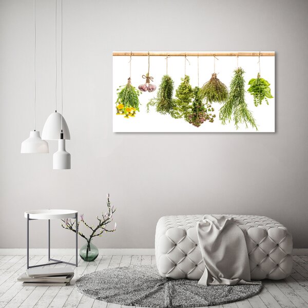 Akril üveg kép Herbs egy húr