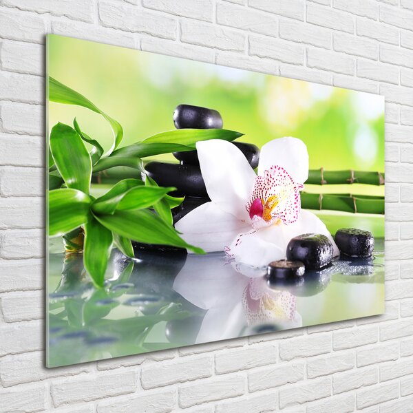 Akrilkép Orchidea