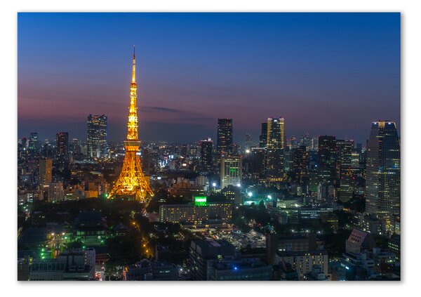 Akrilüveg fotó Tower tokyo