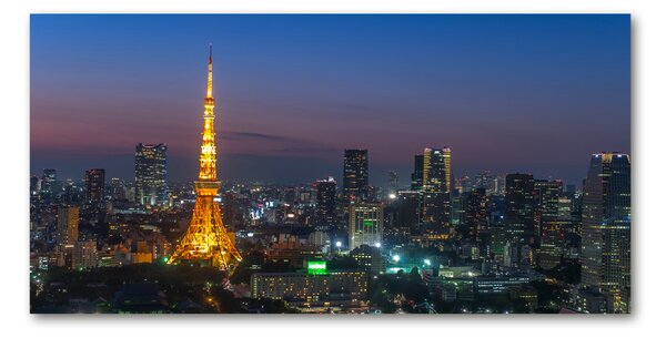 Akrilüveg fotó Tower tokyo