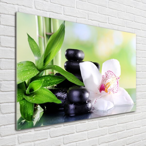 Akrilkép Orchidea