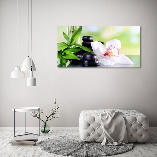 Akrilkép Orchidea