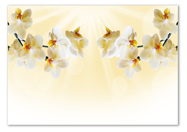 Akrilkép Orchidea
