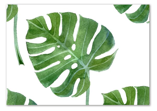 Akril üveg kép Monstera