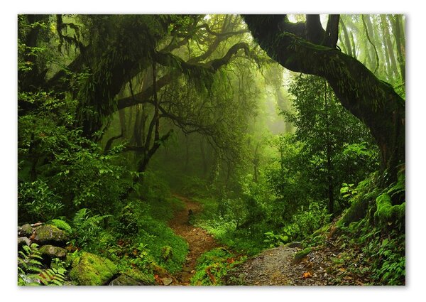 Akril üveg kép Jungle nepál