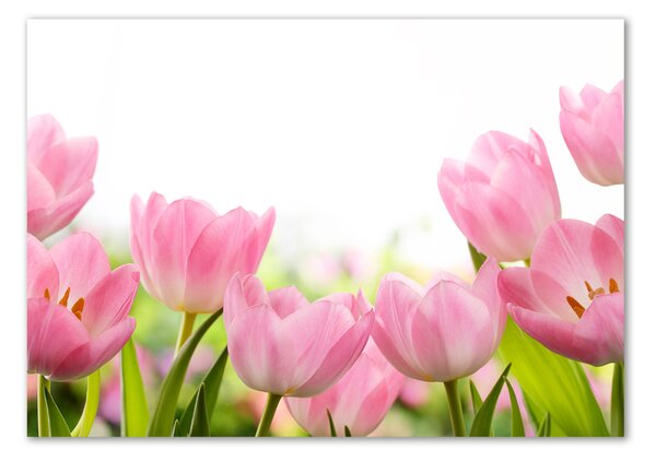 Egyedi üvegkép Rózsaszín tulipánok