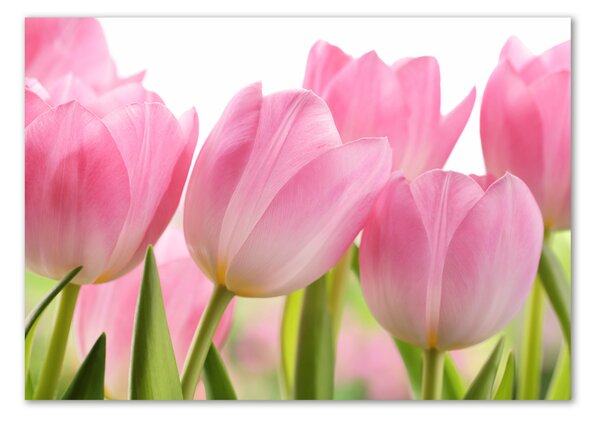 Egyedi üvegkép Rózsaszín tulipánok