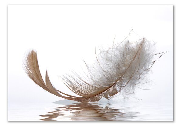 Akrilkép Feather víz