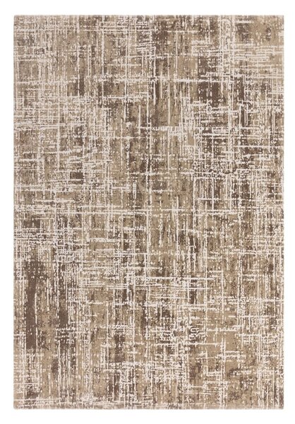 Bézs szőnyeg 240x340 cm Kuza – Asiatic Carpets