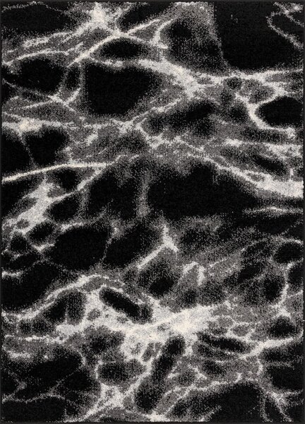 Fekete-fehér szőnyeg 160x220 cm Avanti – FD