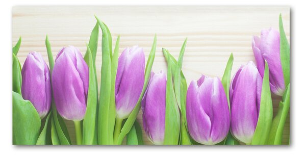 Akrilkép Lila tulipánok