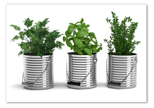 Akril üveg kép Aromás növények