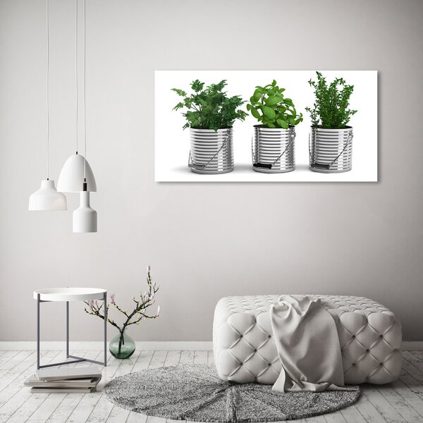 Akril üveg kép Aromás növények