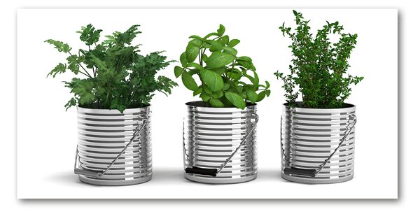 Akril üveg kép Aromás növények