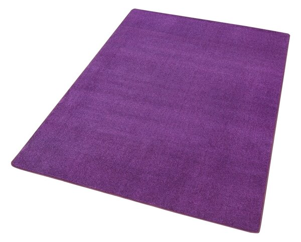 Sötétlila szőnyeg 80x150 cm Fancy – Hanse Home