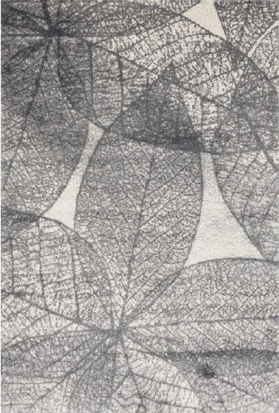 Szürke szőnyeg 160x230 cm Lush – FD