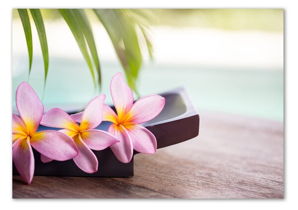 Egyedi üvegkép Plumeria
