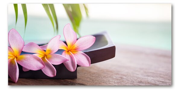 Akrilkép Plumeria