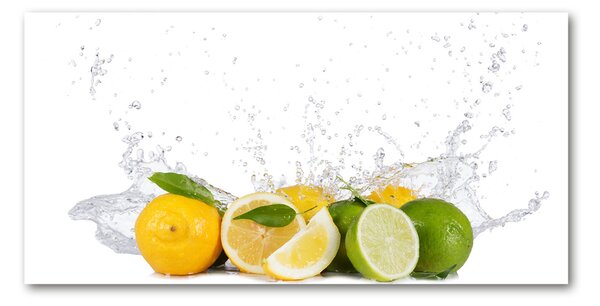 Akril üveg kép Citrusfélék és a víz