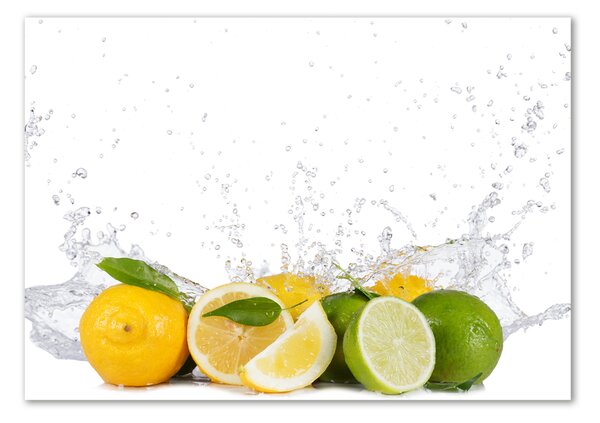 Akril üveg kép Citrusfélék és a víz