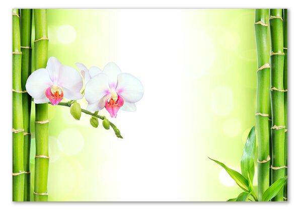 Egyedi üvegkép Orchidea és bambusz