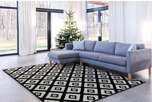 Fekete-fehér szőnyeg 160x220 cm Avanti – FD