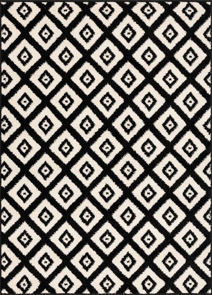Fekete-fehér szőnyeg 160x220 cm Avanti – FD