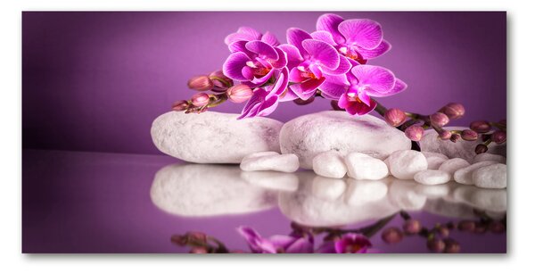 Akrilkép Rózsaszín orchidea