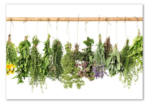 Akril üveg kép Herbs egy húr