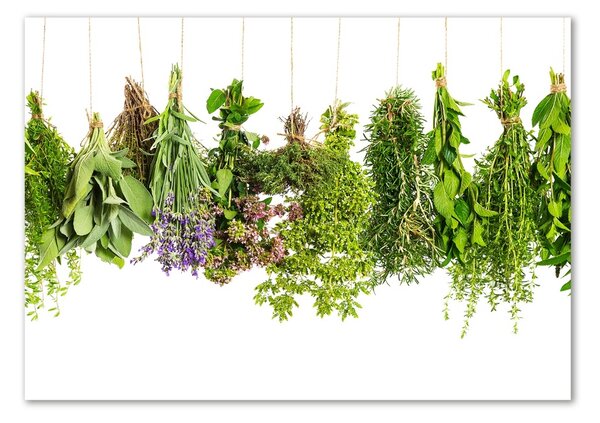 Akril üveg kép Herbs egy húr
