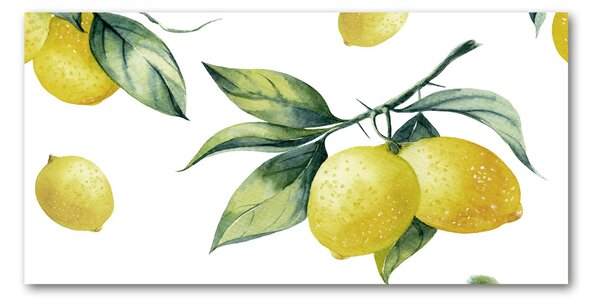 Akril üveg kép Citrom