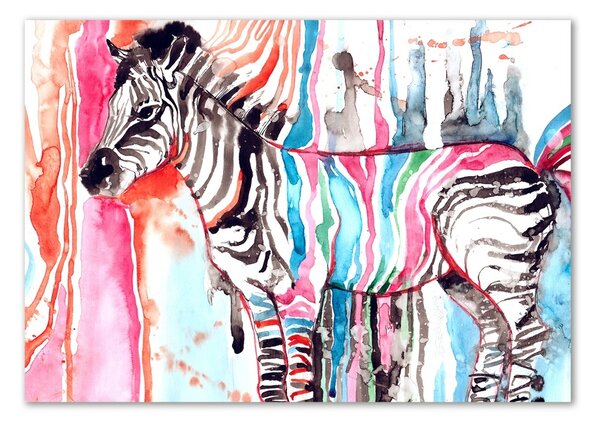 Egyedi üvegkép Színes zebra