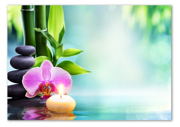 Akrilkép Bambusz orchidea