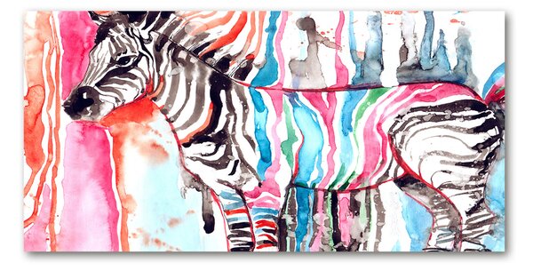 Akrilkép Színes zebra