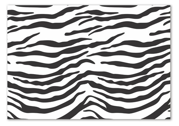 Akrilüveg fotó Zebra háttér