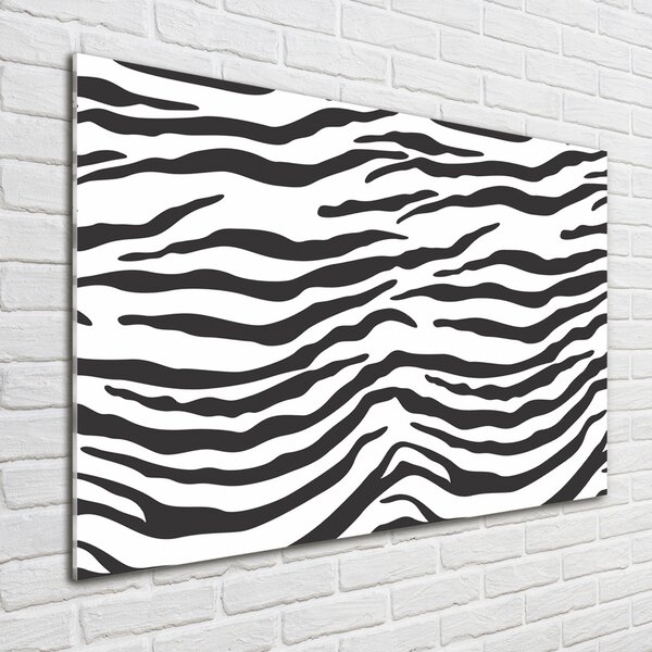 Akrilüveg fotó Zebra háttér