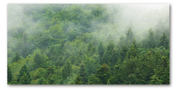 Akrilkép Rejtélyes erdő