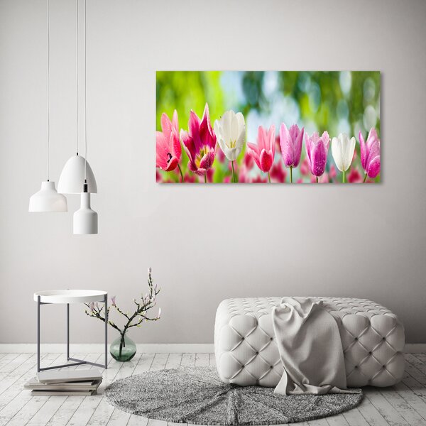 Akrilkép Tulipán