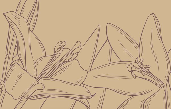 Fotótapéta Egy virág rajza, Virágos fotótapéta, Népszerű fotótapéta, t00139 - Tapeko.hu