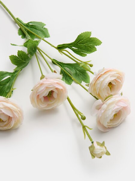 Sinsay - Dísznövény - pünkösdi rózsa - pasztellpink