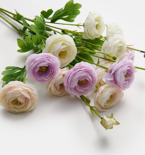 Sinsay - Dísznövény - pünkösdi rózsa - pasztellpink
