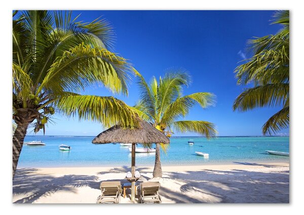 Akrilüveg fotó Beach mauritius